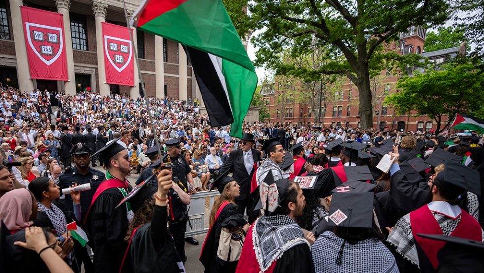 harvard usa may 2024